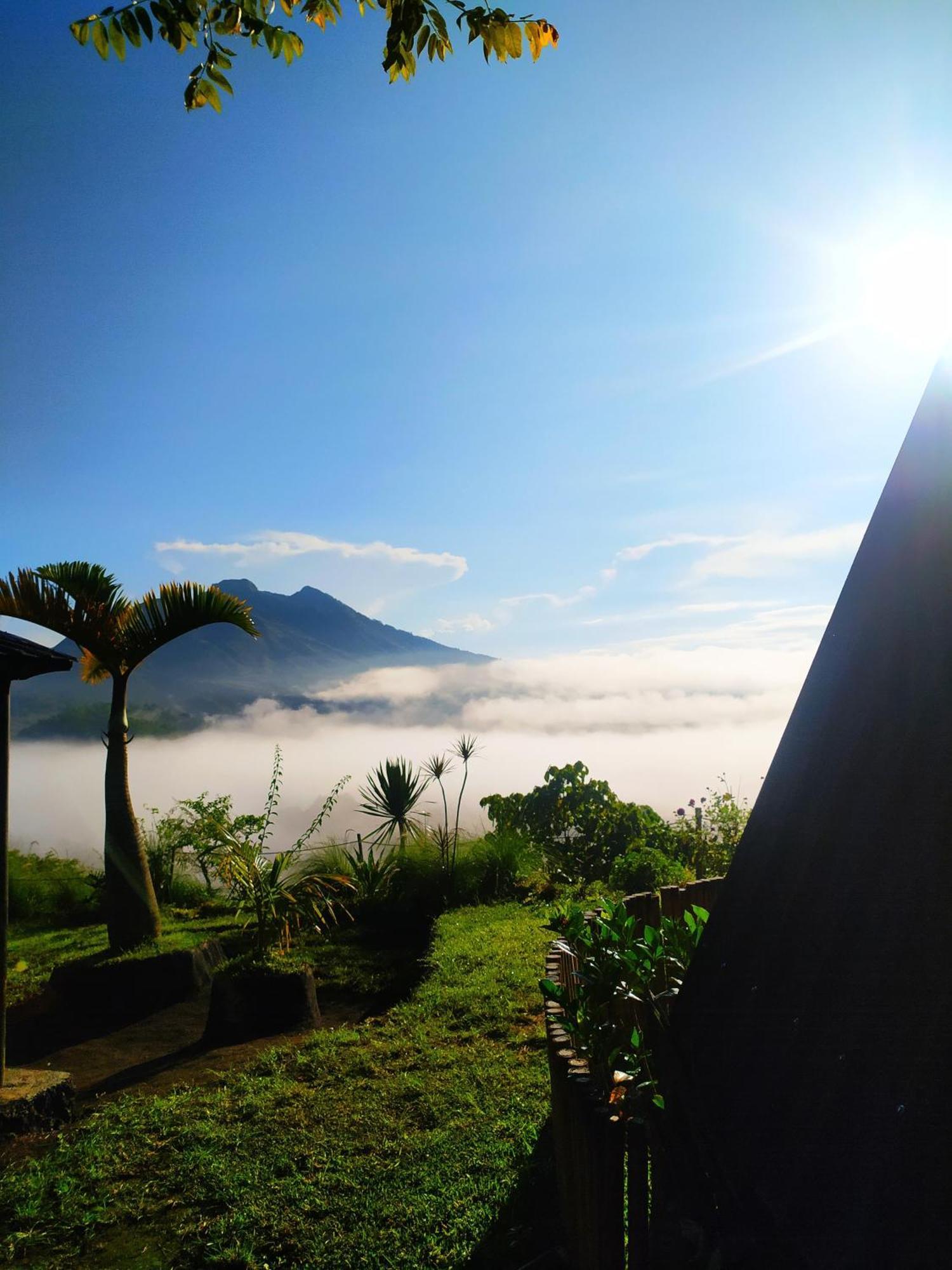Kintamani Adventures 'Hide In Nature Lodge' Экстерьер фото