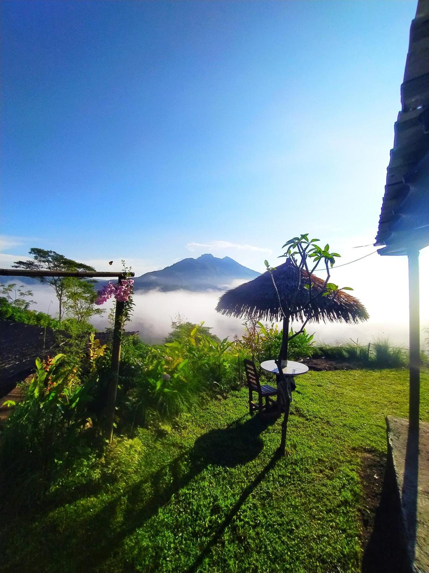 Kintamani Adventures 'Hide In Nature Lodge' Экстерьер фото